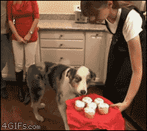anigif_enhanced-buzz-15518-1355769150-1