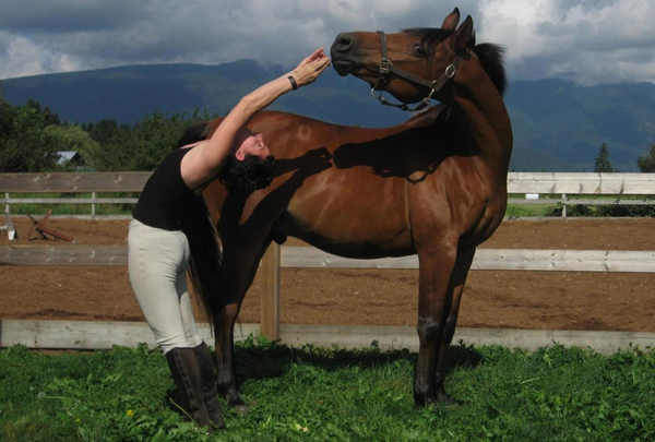a98861_horseyoga