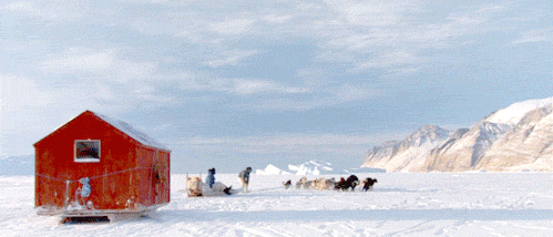 dogsled