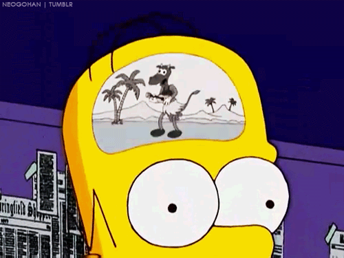 tumblr_msfougDjht1s0lut8o1_500
