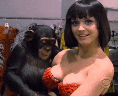 boobs
