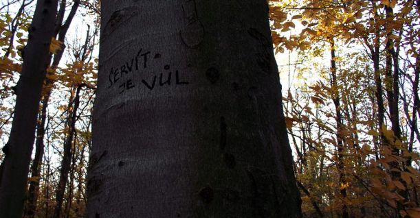 sserv - facebook com