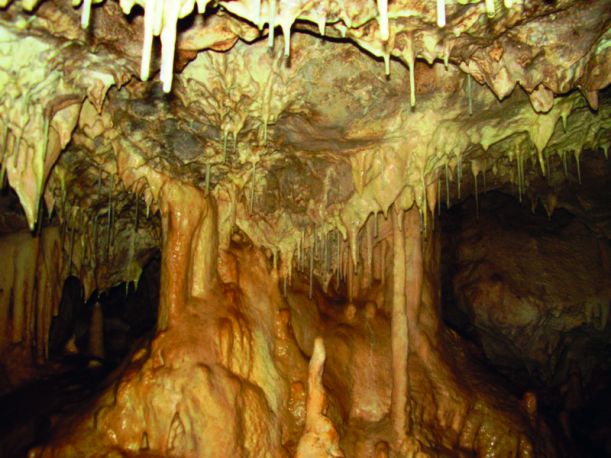 full_d112e7_463738_435612986492705_1492771729_o