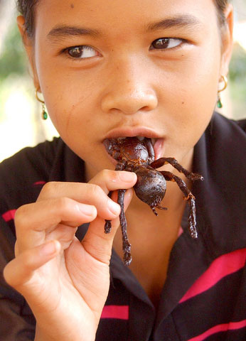 weird-food