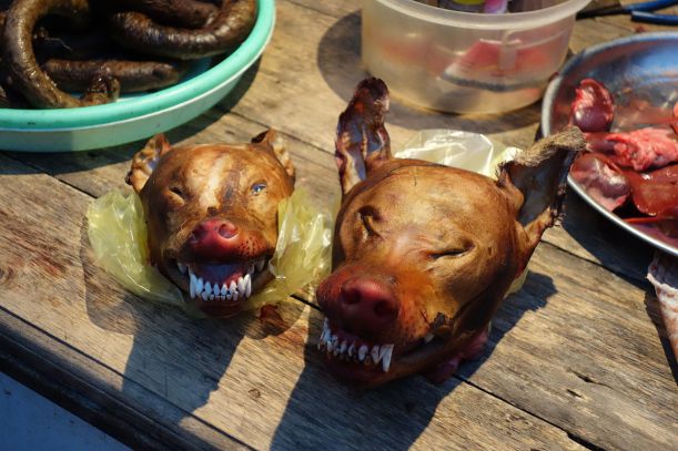 1280px-Dog_meat_in_Ninh_Binh
