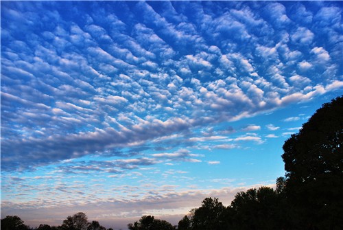 altocumulus