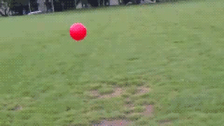 anigif_enhanced-buzz-2774-1355609789-33