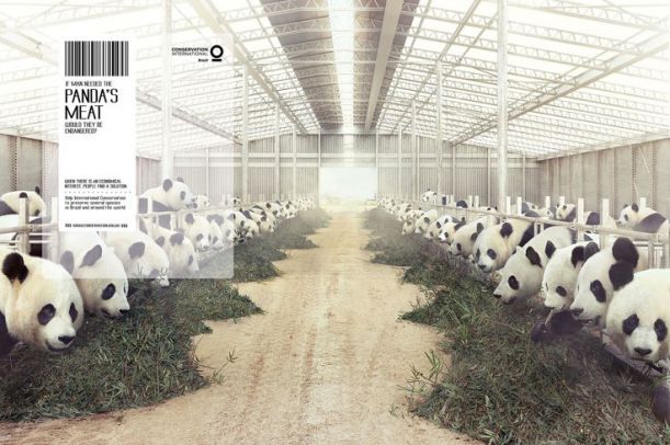 adsoftheworld-com-pandy