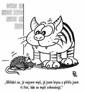 bonzácká-krysa