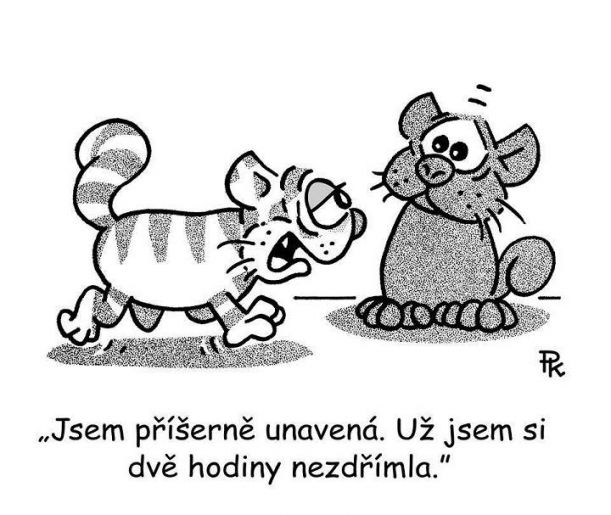 poznavate-se