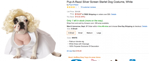 Dog Costume