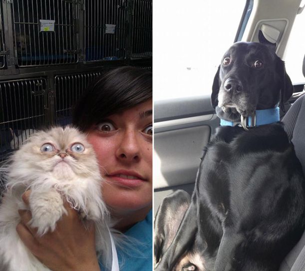 U veterináře 9, 10