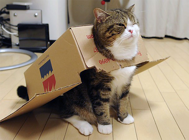 maru