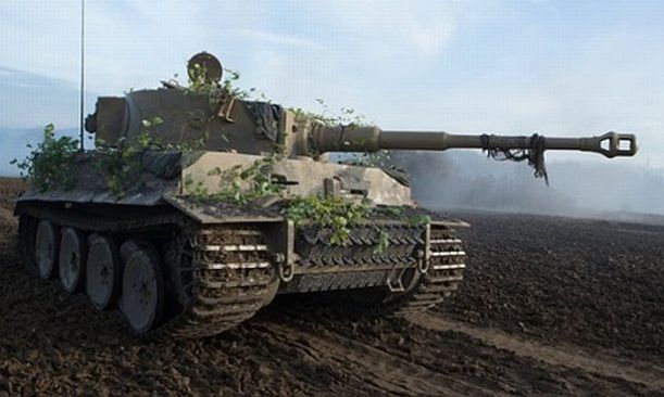 tiger