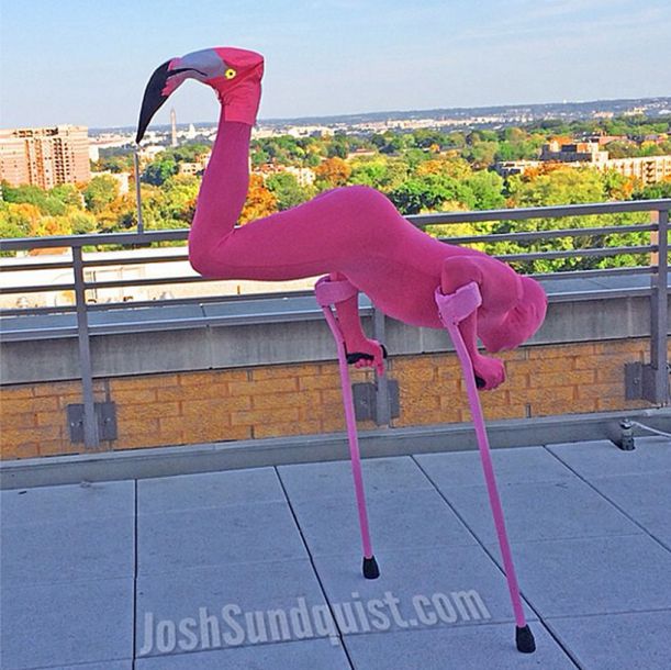 6 Flamingo Costume