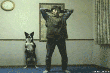 animal-gym-012