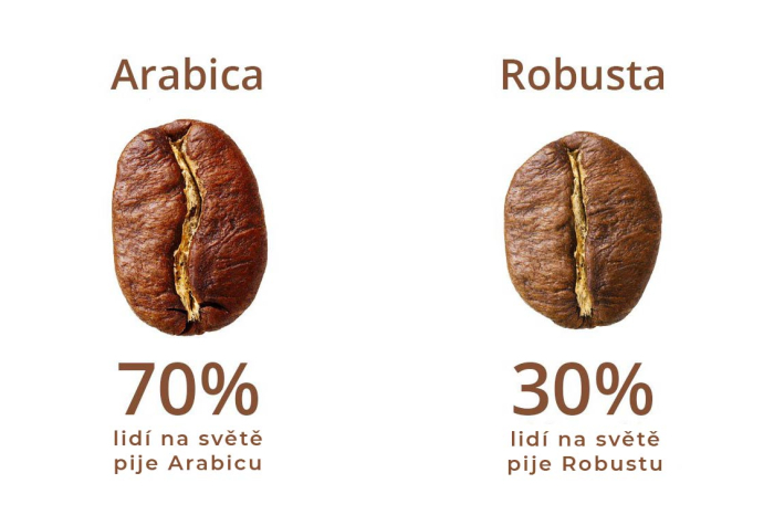 Rozdíl mezi arabikou a robostou