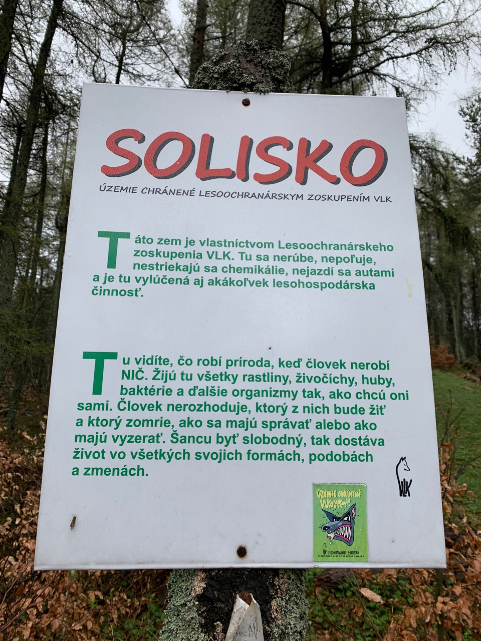 Nedělat nic někdy neznamená být líný, ale chytrý