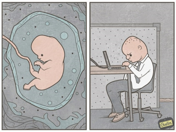 10. Kancelářské embryo