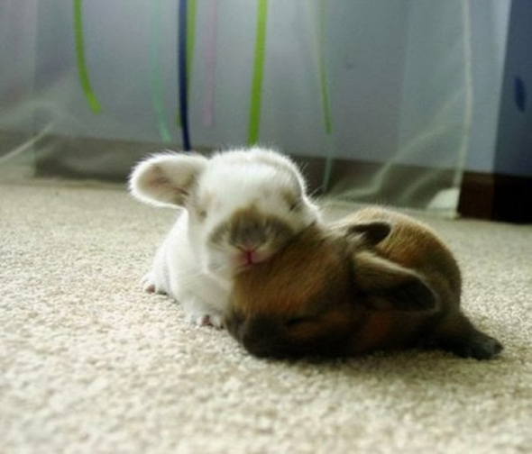 4. Dobrou noc!