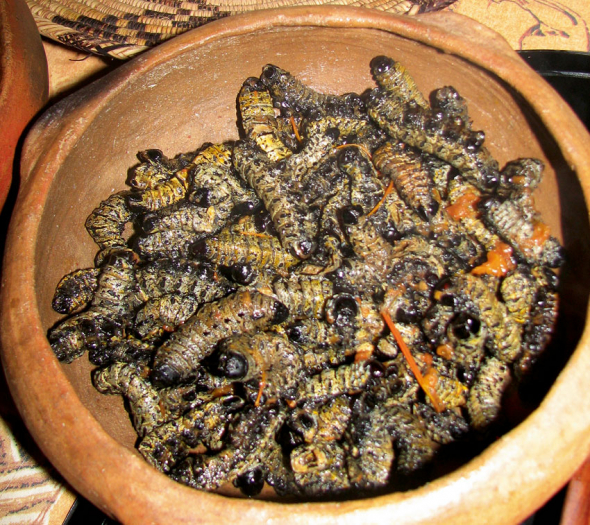 8. Mopane